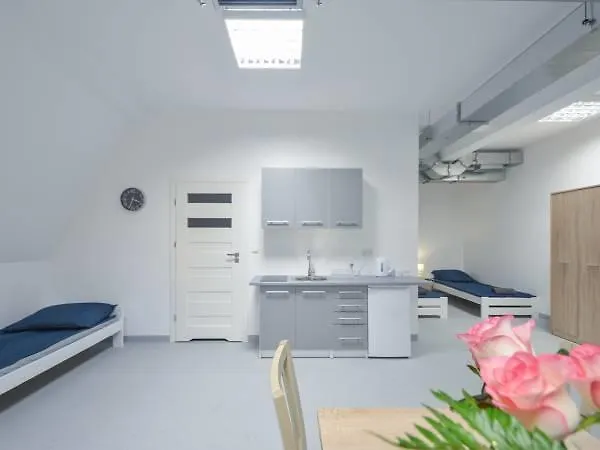 Pokoje Chycow Potok * Zakopane